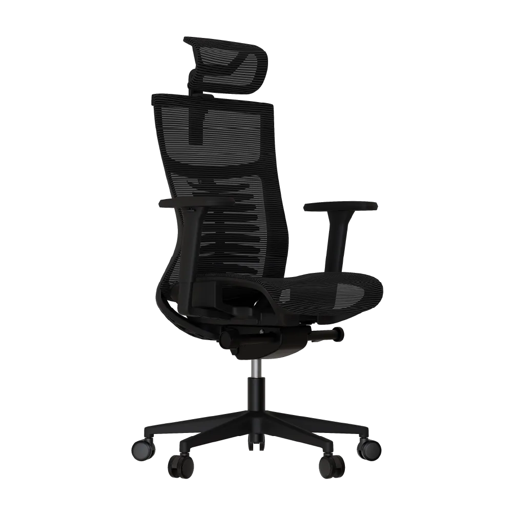 Cadeira Ergonômica Elements Vertta Special