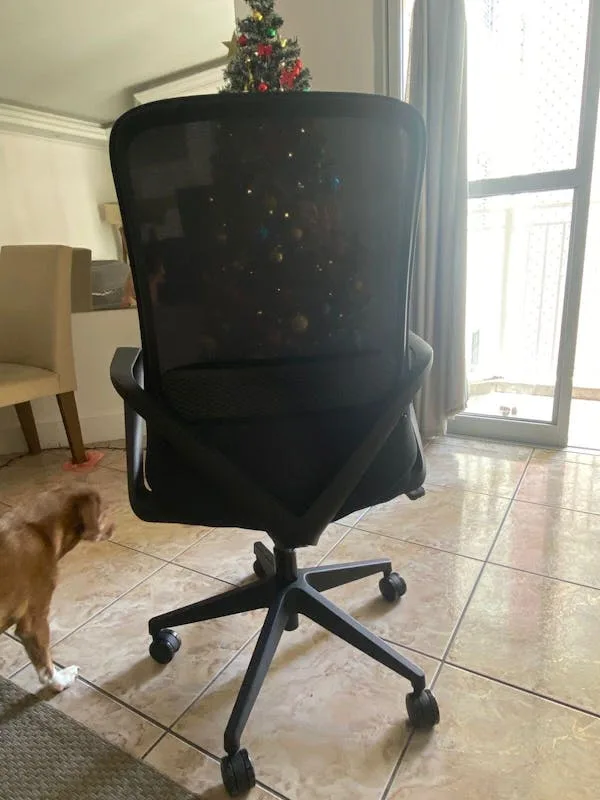 Foto de avaliação
